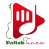 pallab_tunes